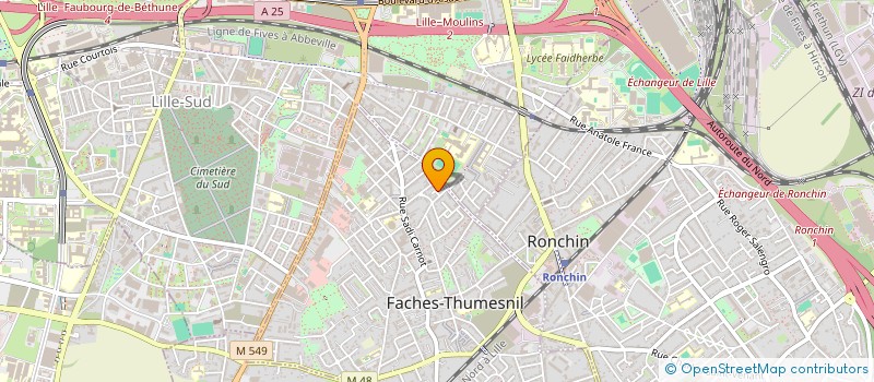 localisation de l'entreprise MONSIEUR NASSIM AHMIDOU  FACHES-THUMESNIL