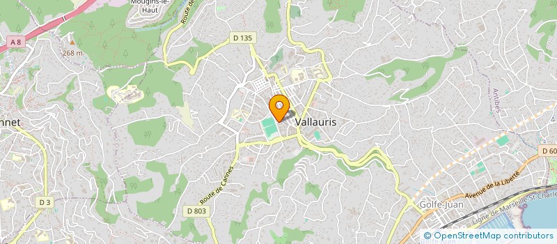 localisation de l'entreprise MONSIEUR NASSIM AYADI  VALLAURIS