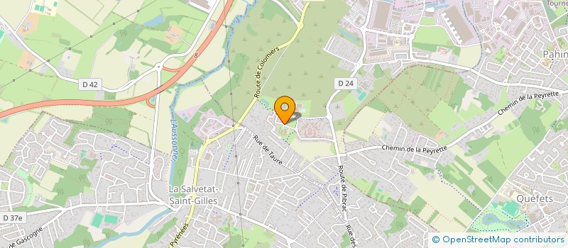 localisation de l'entreprise MONSIEUR NASSIM BEN NABI  PLAISANCE-DU-TOUCH