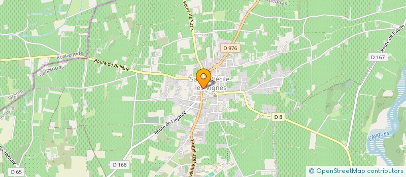 localisation de l'entreprise MONSIEUR NASSIM BRIK  SAINTE-CECILE-LES-VIGNES