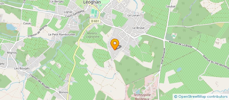 localisation de l'entreprise MONSIEUR NASSIM DARROUJI  LEOGNAN