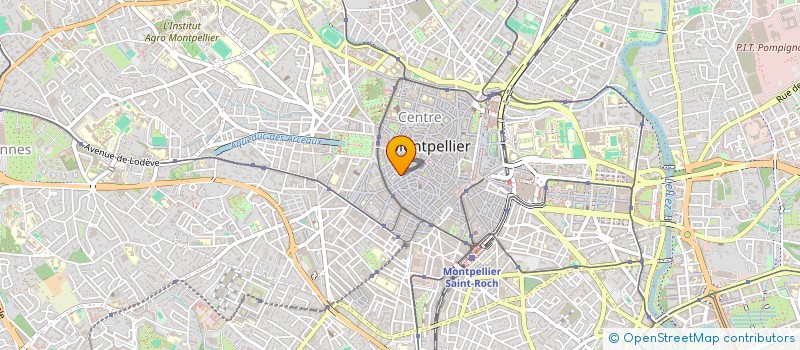 localisation de l'entreprise MONSIEUR NASSIM HAMENNICHE à MONTPELLIER