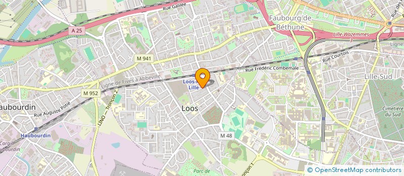 localisation de l'entreprise MONSIEUR NASSIM KHECHIREM  LOOS