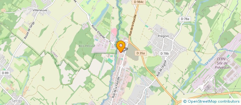 localisation de l'entreprise MONSIEUR NASSIM NENNOUCHE  SAINT-GENIS-POUILLY