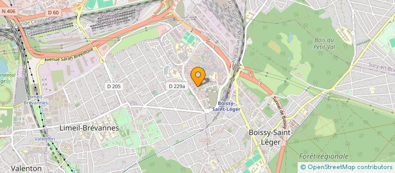localisation de l'entreprise MONSIEUR NASSUR-EDDINE SAID à BOISSY-SAINT-LEGER