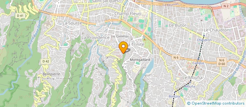 localisation de l'entreprise MONSIEUR NATHAEL BERTHET  SAINT-DENIS