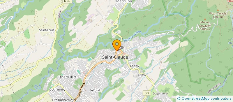 localisation de l'entreprise MONSIEUR NATHALIE PAYEN à SAINT-CLAUDE