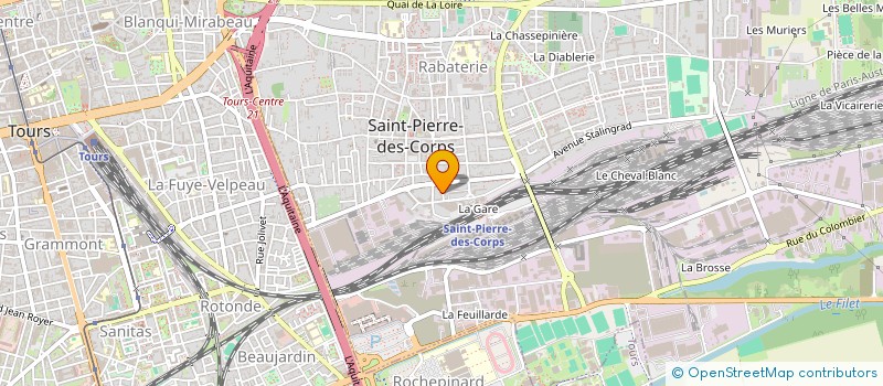 localisation de l'entreprise MONSIEUR NATHAN DELAVEAU  SAINT-PIERRE-DES-CORPS