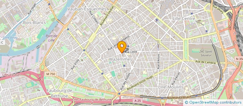 localisation de l'entreprise MONSIEUR NATHAN DELEMOTTE à LILLE
