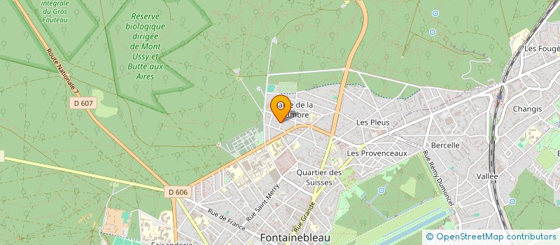 localisation de l'entreprise MONSIEUR NATHAN GOMA  FONTAINEBLEAU