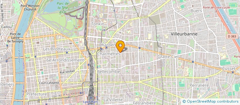 localisation de l'entreprise MONSIEUR NATHAN MICLO  VILLEURBANNE