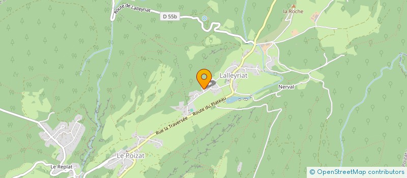 localisation de l'entreprise MONSIEUR NATHAN TROCCON  LE POIZAT-LALLEYRIAT
