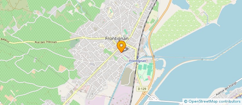 localisation de l'entreprise MONSIEUR NATHANAEL DURIX à FRONTIGNAN