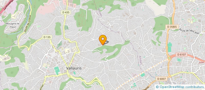 localisation de l'entreprise MONSIEUR NAVEEN-KUMAR VIJH  VALLAURIS