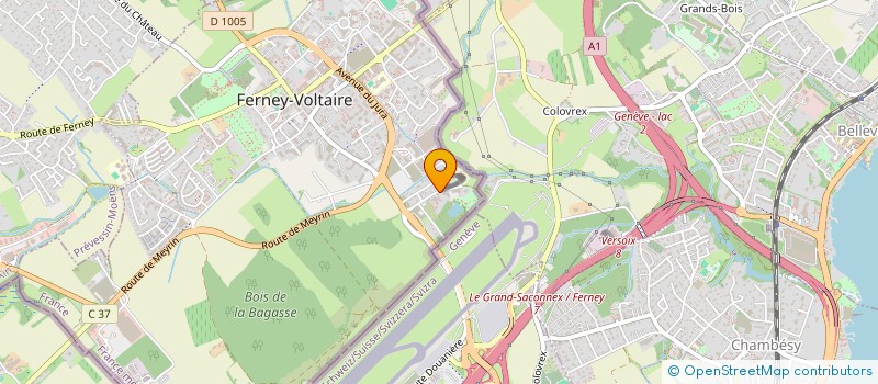 localisation de l'entreprise MONSIEUR NAWEED SOLTANI à FERNEY-VOLTAIRE
