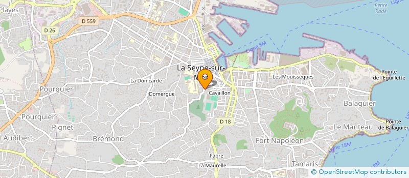 localisation de l'entreprise MONSIEUR NAWFEL HATTAB  LA SEYNE-SUR-MER