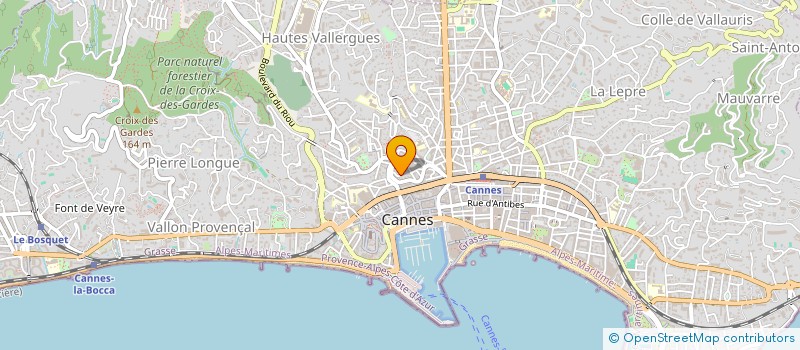 localisation de l'entreprise MONSIEUR NAYAN ADANI  CANNES