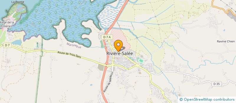 localisation de l'entreprise MONSIEUR NAZAIRE DARIVIN à RIVIERE-SALEE