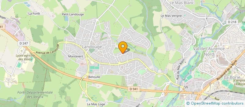 localisation de l'entreprise MONSIEUR NAZMI SALI à LIMOGES