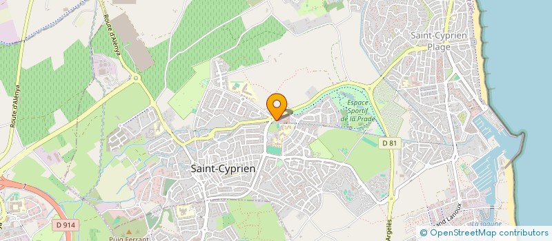 localisation de l'entreprise MONSIEUR NEBILL DIFALLAH  SAINT-CYPRIEN