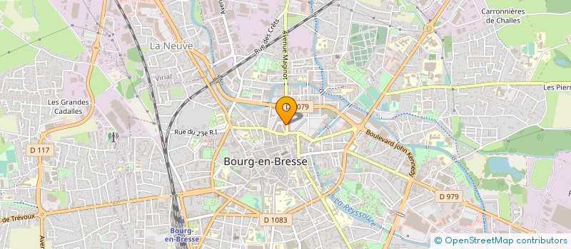 localisation de l'entreprise MONSIEUR NEDIM ARIK à BOURG-EN-BRESSE