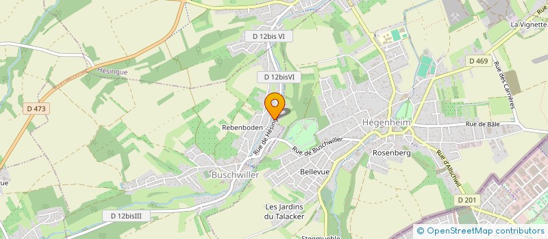 localisation de l'entreprise MONSIEUR NEDIM MEMEDI  BUSCHWILLER