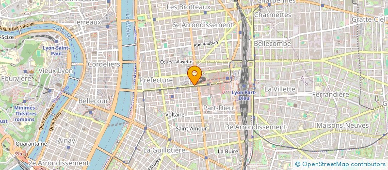 localisation de l'entreprise MONSIEUR NEDIM SIAF  LYON