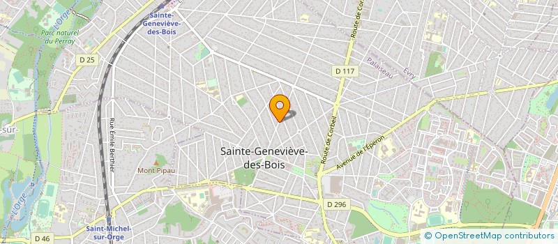 localisation de l'entreprise MONSIEUR NEDIR YOUSFI à STE GENEVIEVE DES BOIS