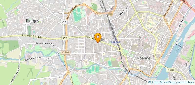 localisation de l'entreprise MONSIEUR NEFFATI SABEUR  ROANNE