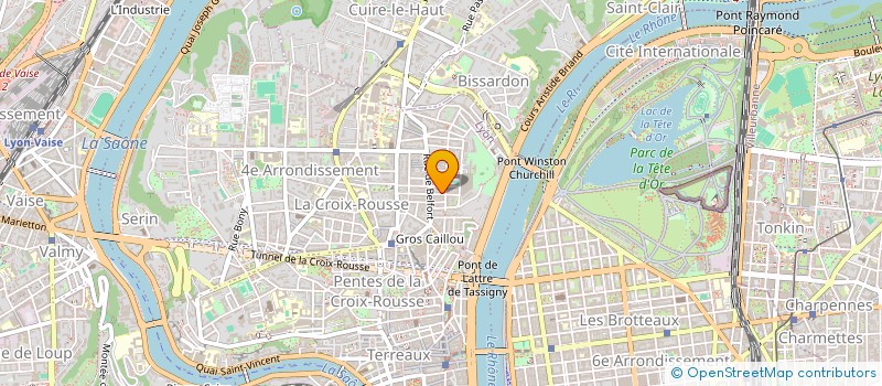 localisation de l'entreprise MONSIEUR NEFIS ALIOUCHE  LYON