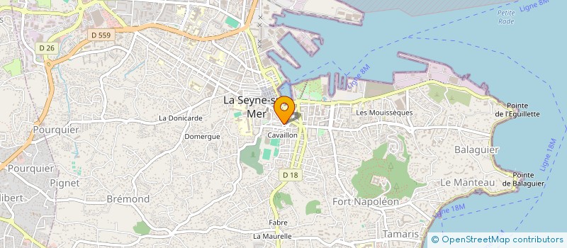 localisation de l'entreprise MONSIEUR NEGME EDDINE ABAIED à LA SEYNE-SUR-MER
