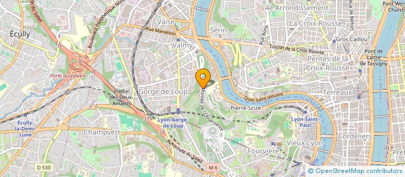 localisation de l'entreprise MONSIEUR NEHEMIE CHOLLAT  LYON