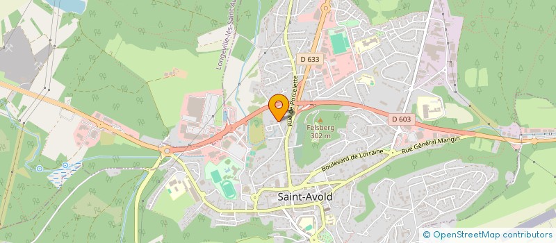 localisation de l'entreprise MONSIEUR NEJDET ULAS  SAINT-AVOLD