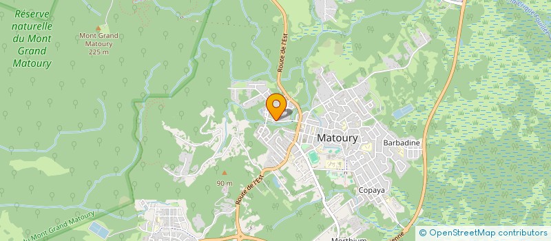 localisation de l'entreprise MONSIEUR NELRIC RODIN  MATOURY