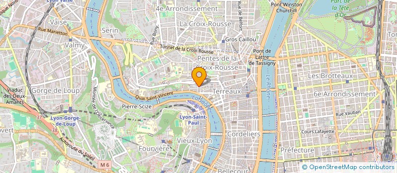 localisation de l'entreprise MONSIEUR NELSON ABOS  LYON