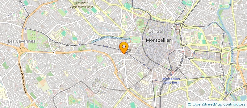 localisation de l'entreprise MONSIEUR NELSON ESTEVES ANDRADE à MONTPELLIER