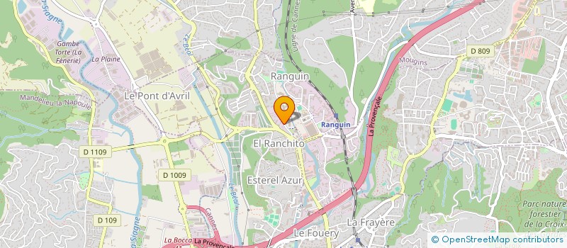 localisation de l'entreprise MONSIEUR NELSON GOMES  CANNES