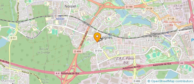 localisation de l'entreprise MONSIEUR NELSON LOPES à LOGNES