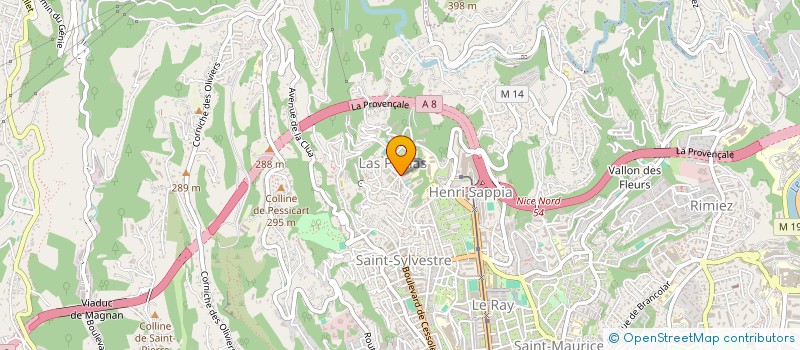 localisation de l'entreprise MONSIEUR NELSON MOREIA DA SILVA  NICE