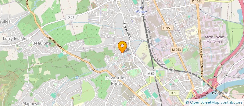 localisation de l'entreprise MONSIEUR NELSON PAULO  METZ