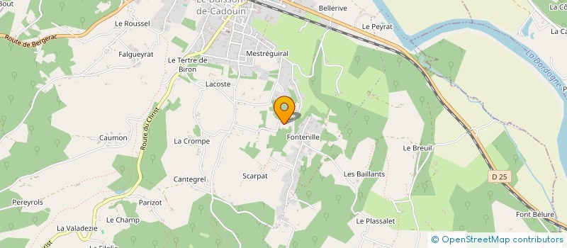 localisation de l'entreprise MONSIEUR NELSON PEREIRA DUARTE à LE BUISSON-DE-CADOUIN