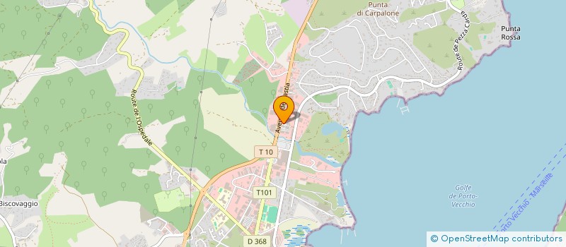 localisation de l'entreprise MONSIEUR NELSON PINTO CORREIA  PORTO-VECCHIO