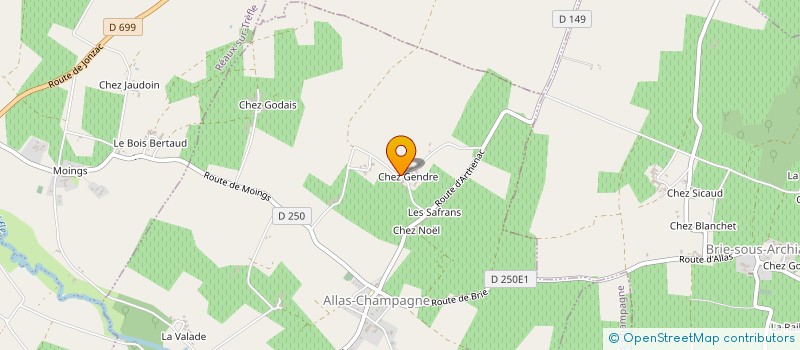 localisation de l'entreprise MONSIEUR NELSON POYAULT  ALLAS-CHAMPAGNE