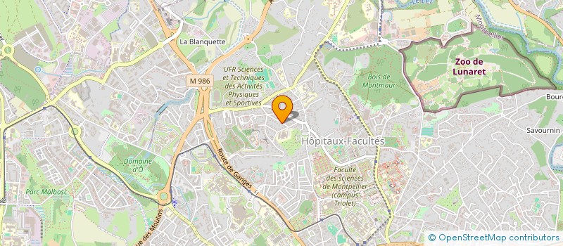 localisation de l'entreprise MONSIEUR NEMO CARDOSO à MONTPELLIER