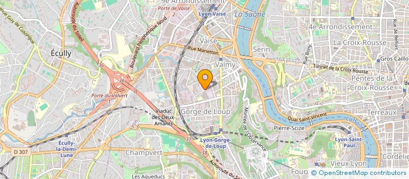 localisation de l'entreprise MONSIEUR NEMO PORRE  LYON