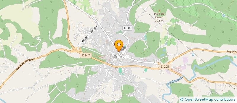 localisation de l'entreprise MONSIEUR NENAD RADULOVIC  TOURVES