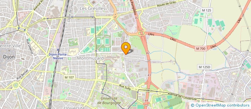 localisation de l'entreprise MONSIEUR NESSIM SAIDI  SAINT-APOLLINAIRE