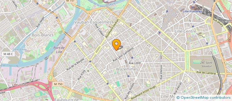 localisation de l'entreprise MONSIEUR NESTOR TOBIAS INGVACKAS LHEPAPE  LILLE