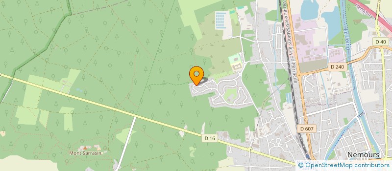 localisation de l'entreprise MONSIEUR NGOC HOANG  SAINT-PIERRE-LES-NEMOURS