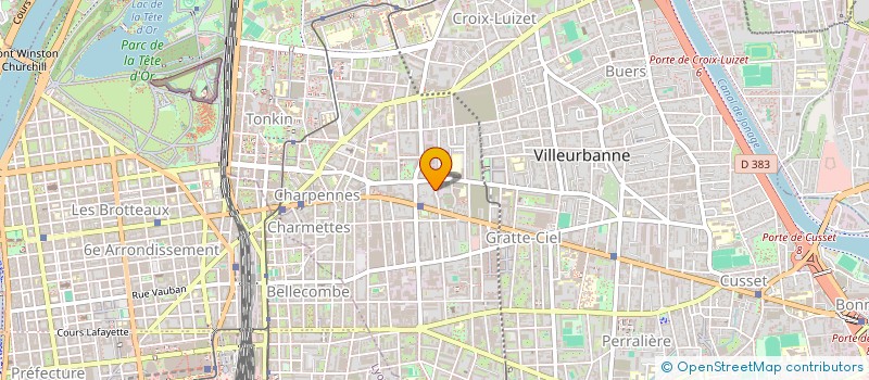 localisation de l'entreprise MONSIEUR NICHOLAS FRANKLIN à VILLEURBANNE
